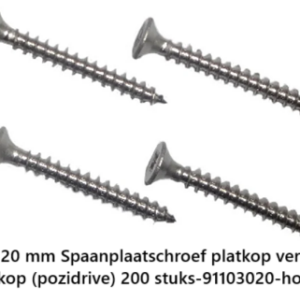 Spaanplaatschroef platkop verzinkt kruiskop 3.0 x 20 mm